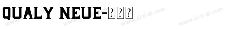 QUALY neue字体转换